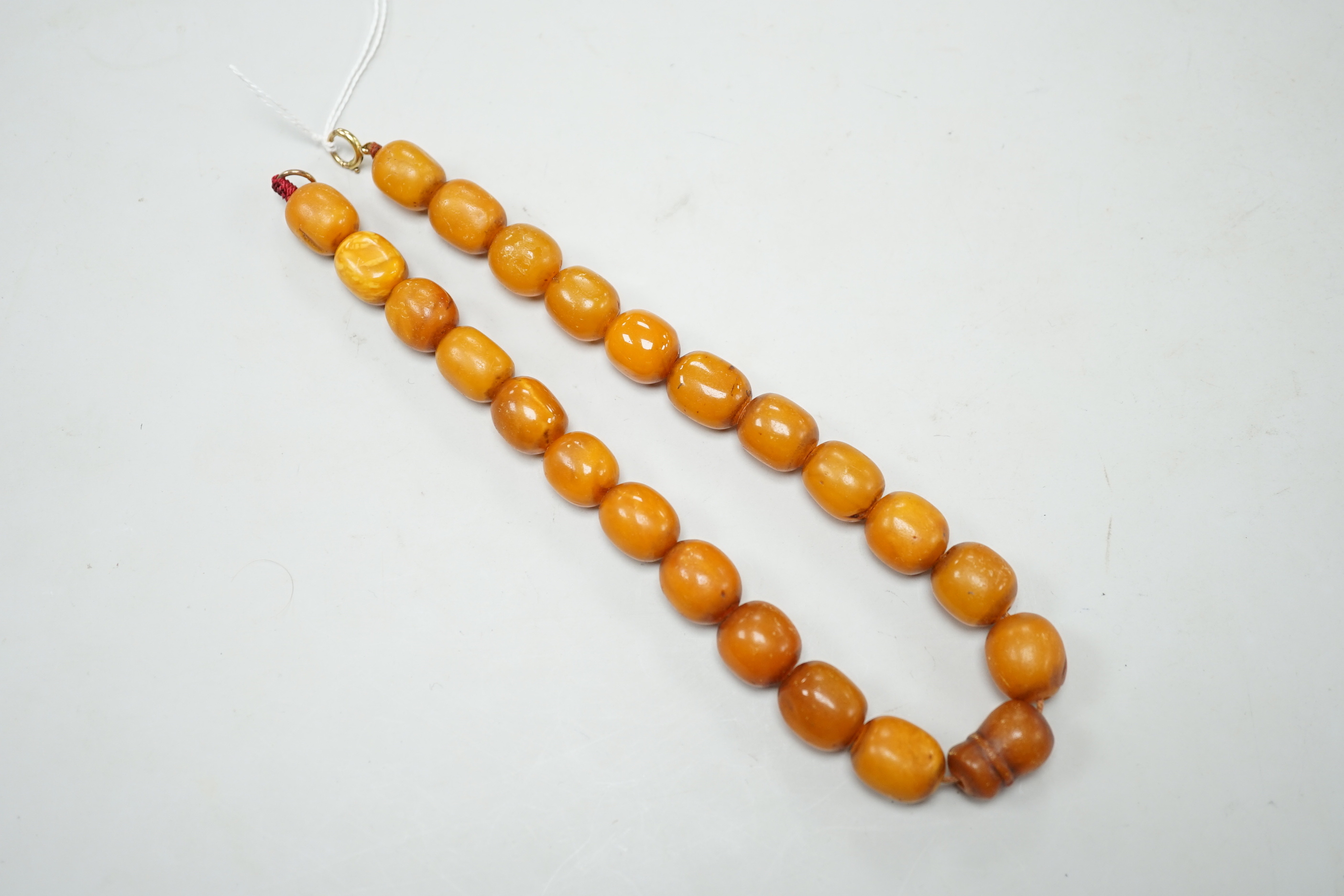 A single strand amber bead necklace, 36cm, gross weight 39 grams.